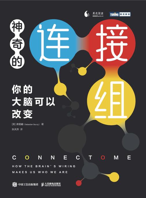 神奇的连接组:你的大脑可以改变