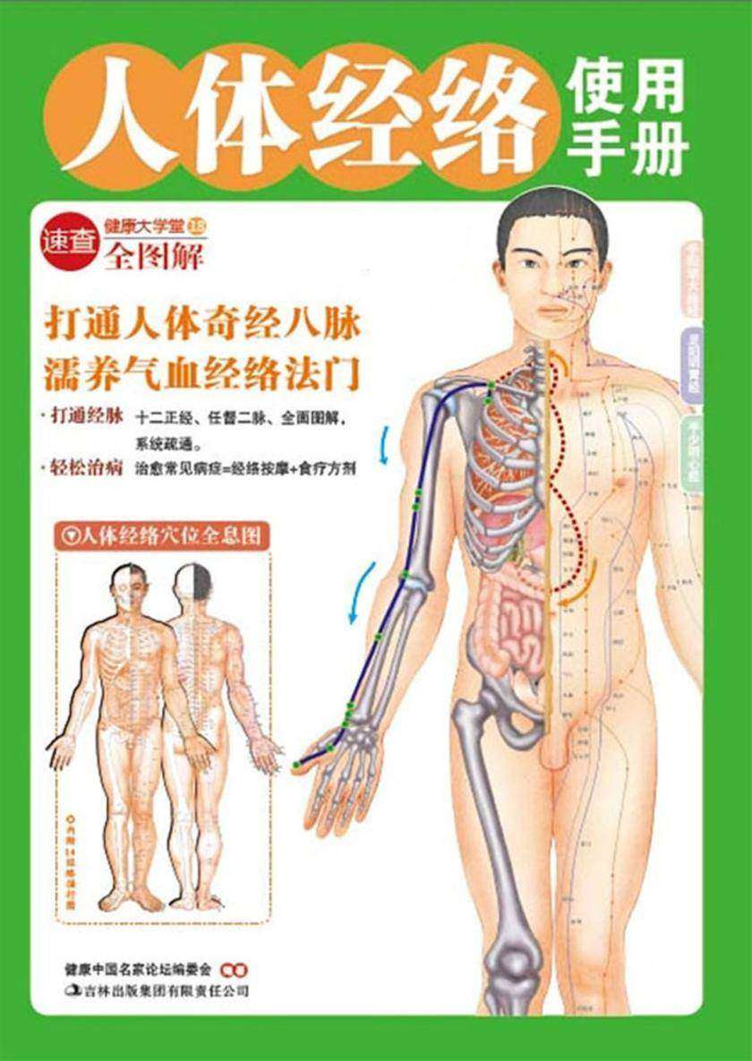 人体经络使用手册
