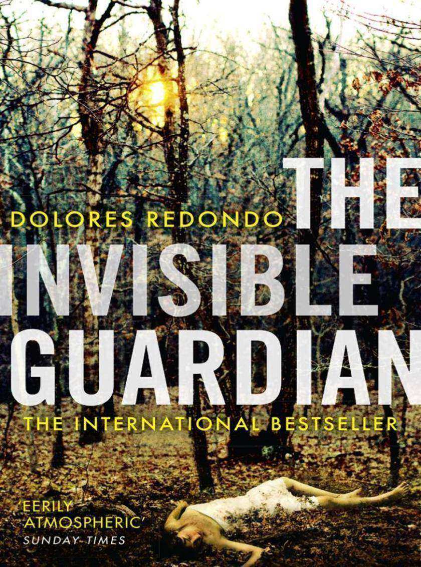 The Invisible Guardian (The Baztan Trilogy, Book 1)