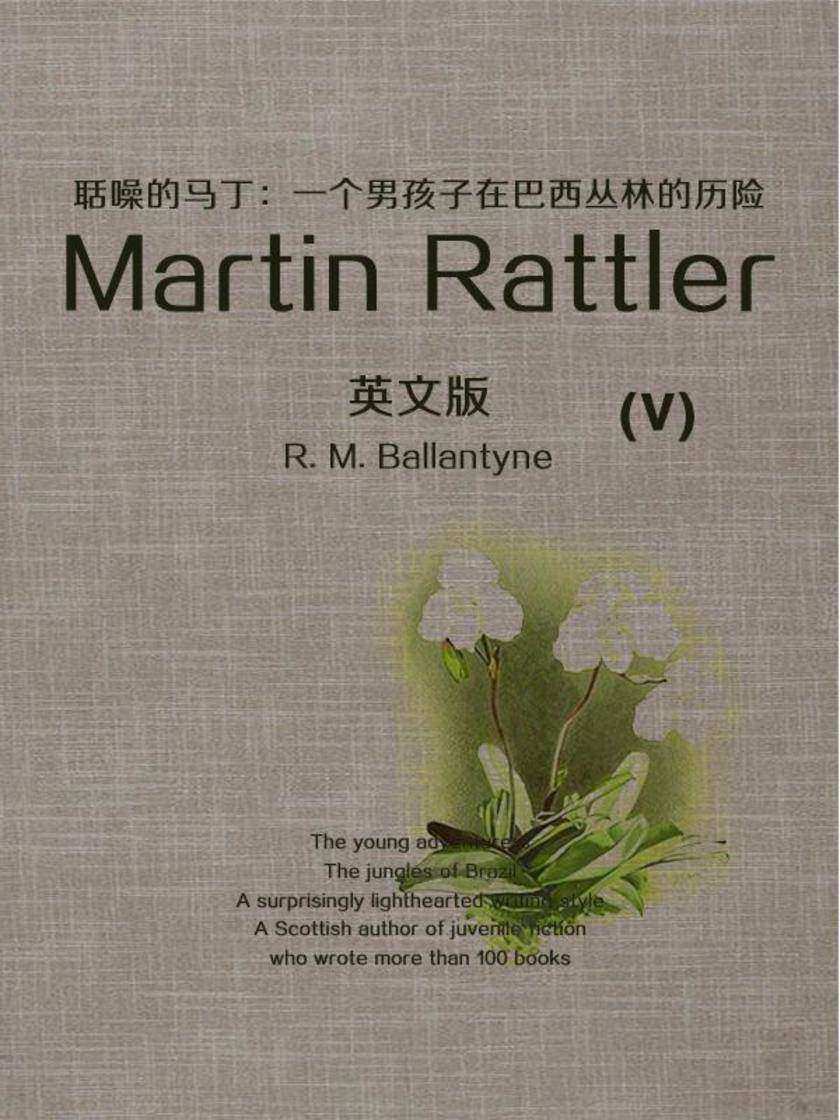 Martin Rattler(V) 聒噪的马丁：一个男孩子在巴西丛林的历险(英文版)