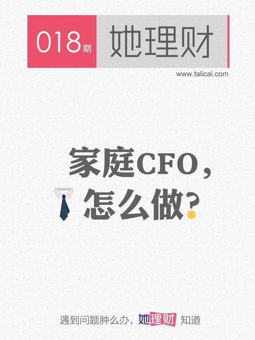 家庭CFO，怎么做（财蜜eMook）