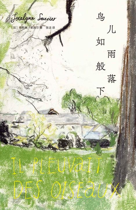 鸟儿如雨般落下