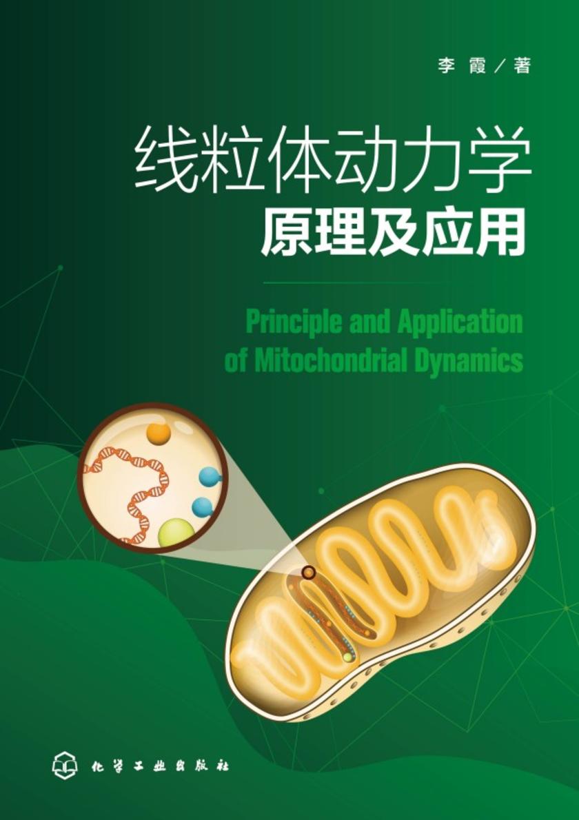 线粒体动力学原理及应用
