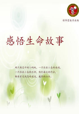 感悟生命故事