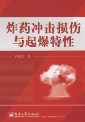 炸药冲击损伤与起爆特性(试读本)