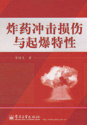 炸药冲击损伤与起爆特性(试读本)