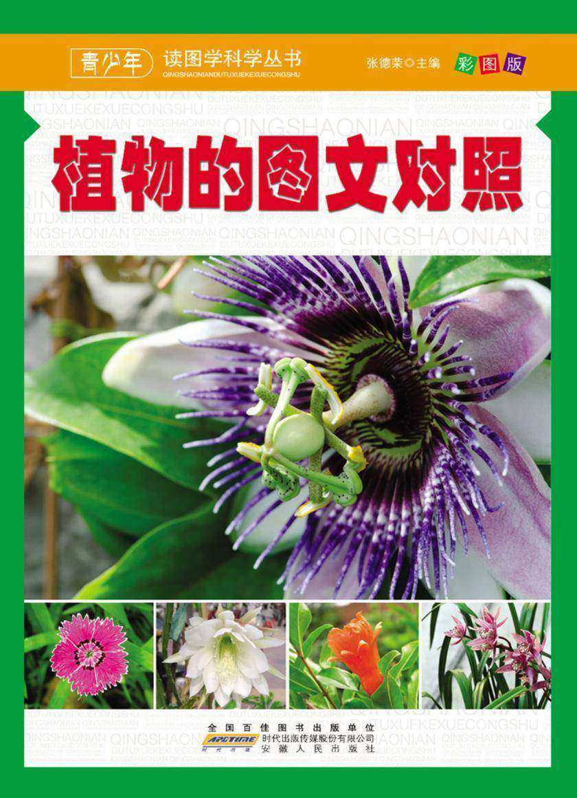 植物的图文对照