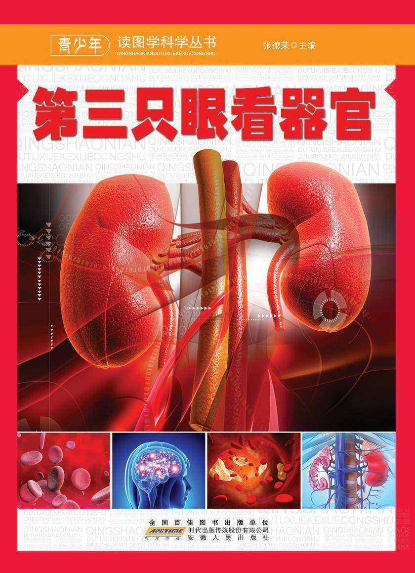 第三只眼看器官