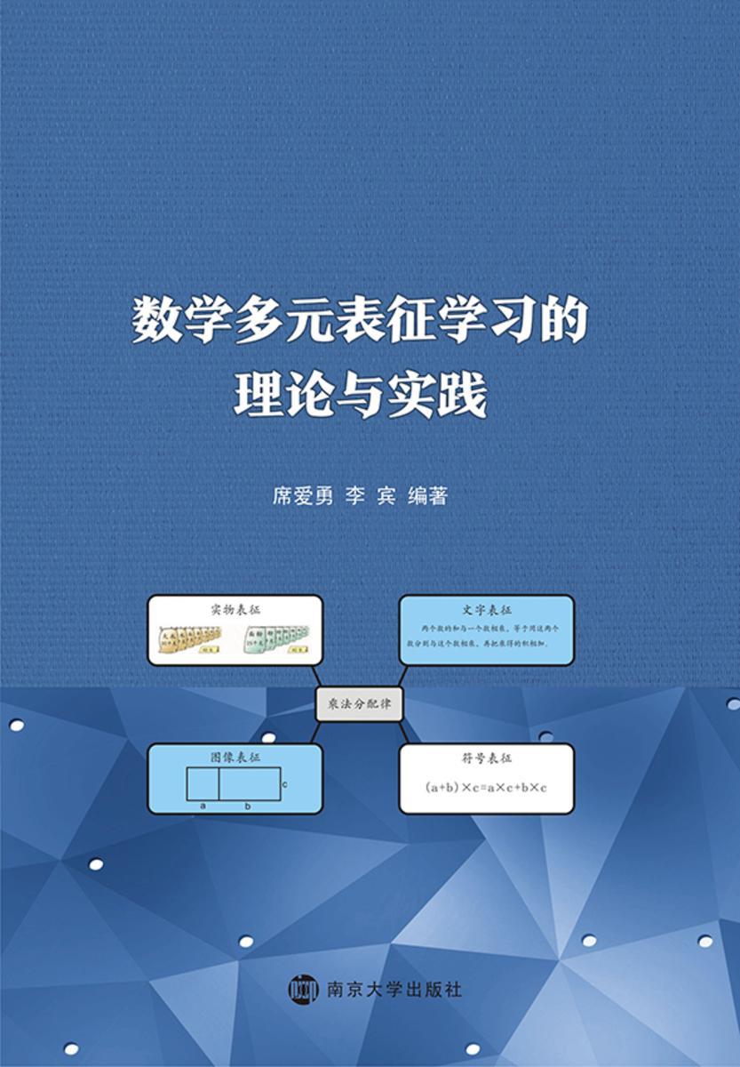 数学多元表征学习的理论与实践