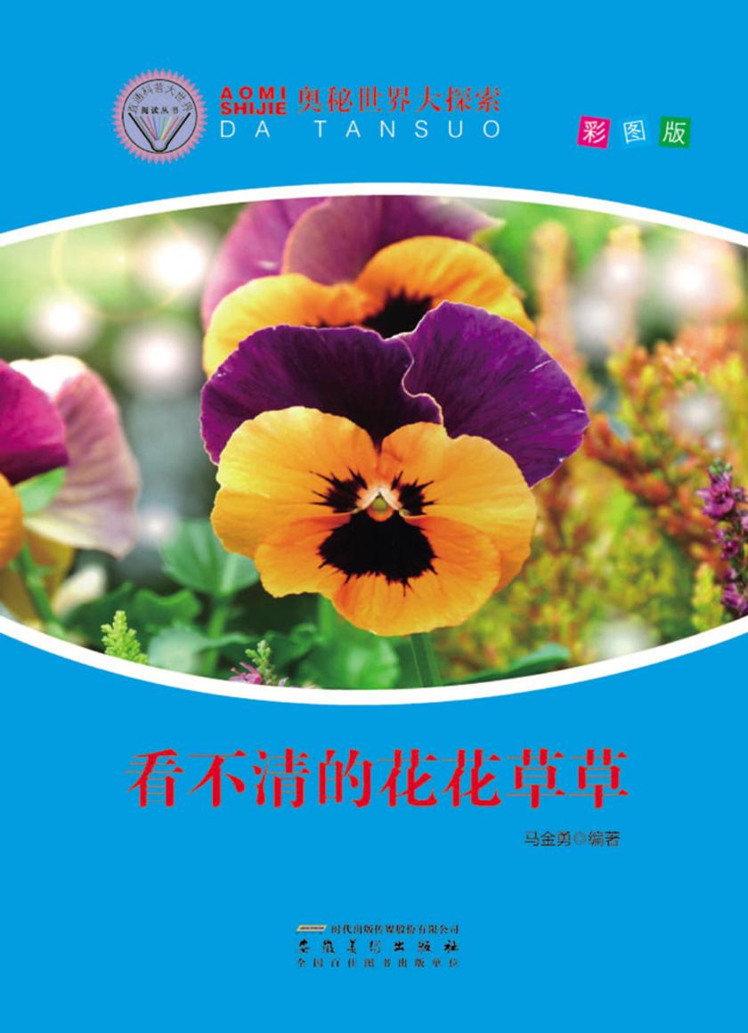 看不清的花花草草