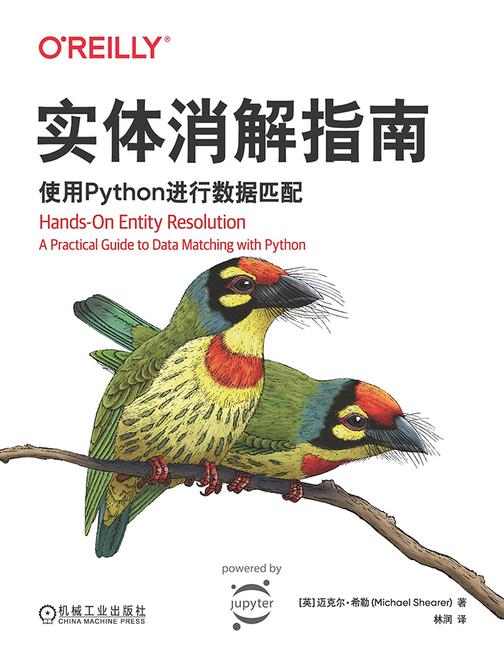 实体消解指南:使用Python进行数据匹配