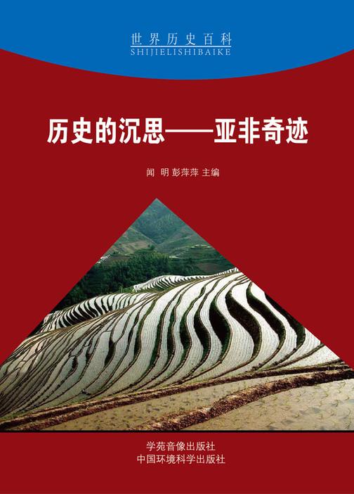 历史的沉思——亚非奇迹