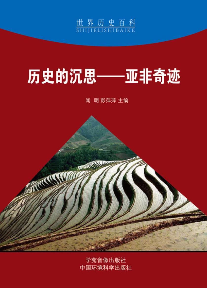 历史的沉思——亚非奇迹