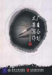 广告企划文案写作