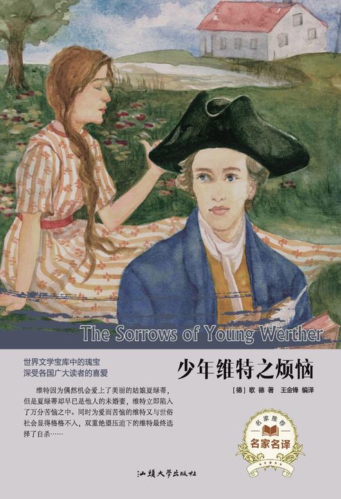 少年维特之烦恼