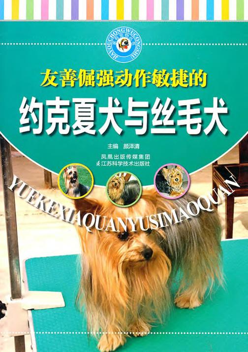 约克夏犬与丝毛犬