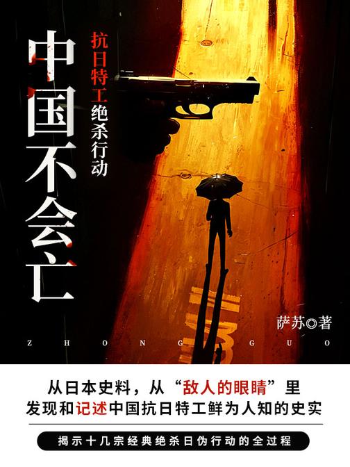 中国不会亡:抗日特工绝杀行动