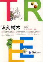 识别树木(彩版)(我爱自然丛书)(试读本)