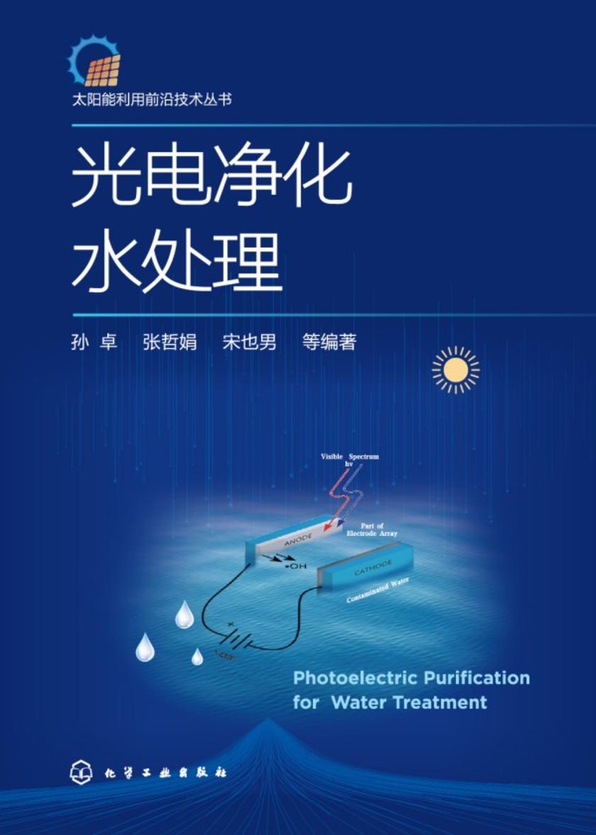 太阳能利用前沿技术丛书--光电净化水处理