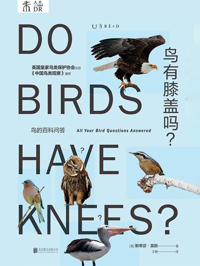 鸟有膝盖吗