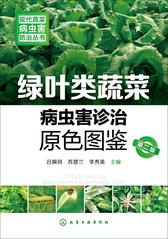 绿叶类蔬菜病虫害诊治原色图鉴(第二版)