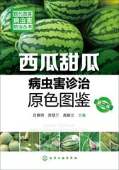 西瓜甜瓜病虫害诊治原色图鉴(第二版)
