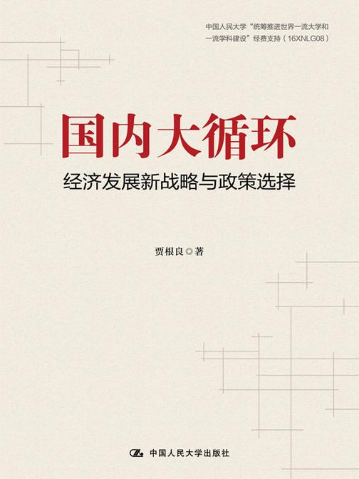 国内大循环：经济发展新战略与政策选择
