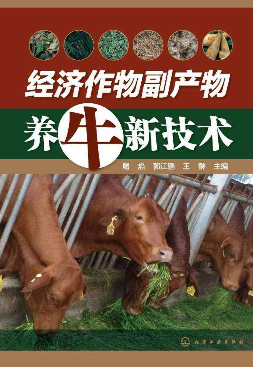 经济作物副产物养牛新技术