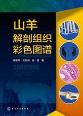 山羊解剖组织彩色图谱
