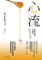 心流：最优体验心理学