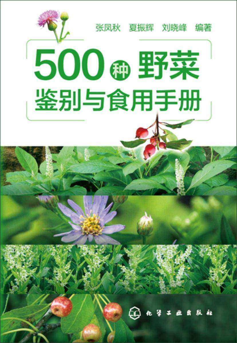 500种野菜鉴别与食用手册