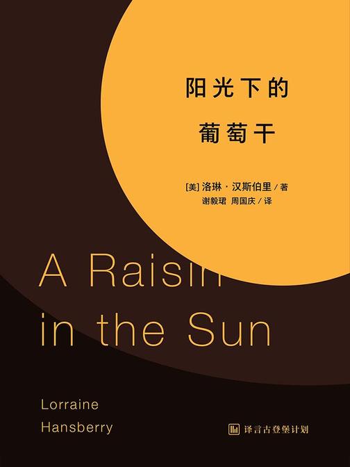 阳光下的葡萄干