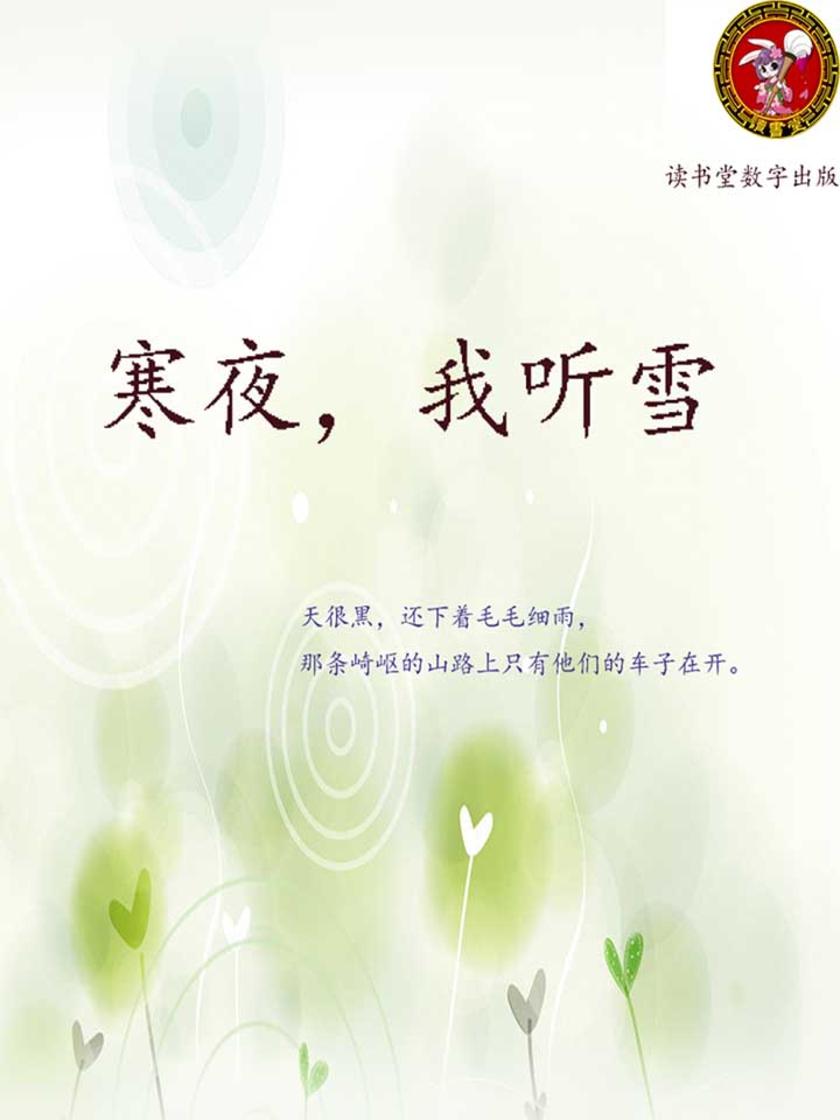 寒夜，我听雪