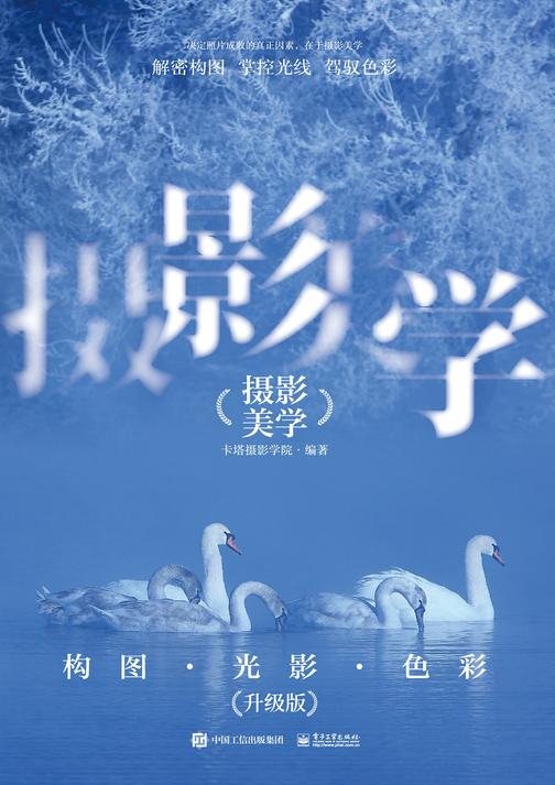摄影美学:构图·光影·色彩(升级版)