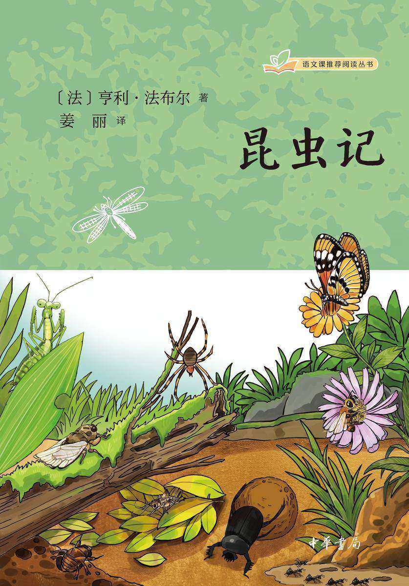昆虫记--语文课推荐阅读丛书 中华书局出品