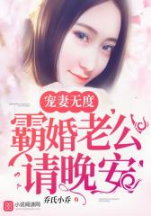 宠妻无度：霸婚老公请晚安