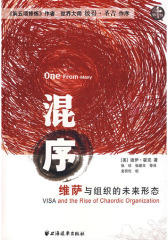 混序：维萨与组织的未来形态(试读本)