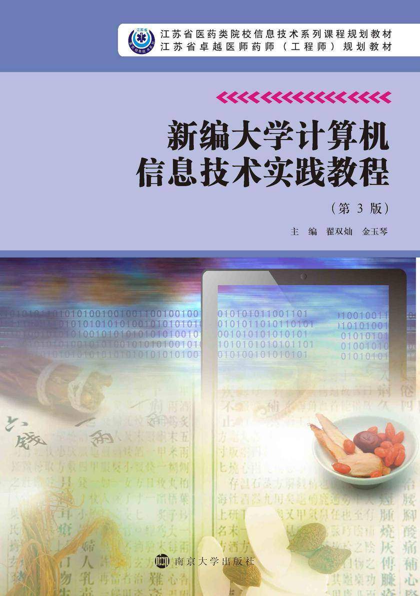 新编大学计算机信息技术实践教程(第3版)