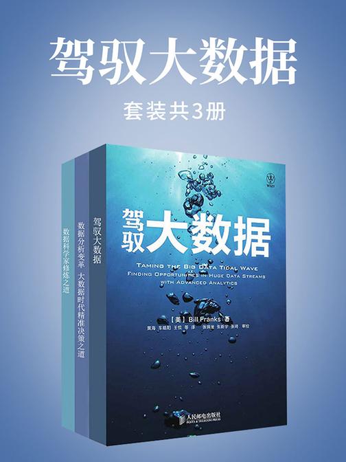 驾驭大数据(套装共3册)