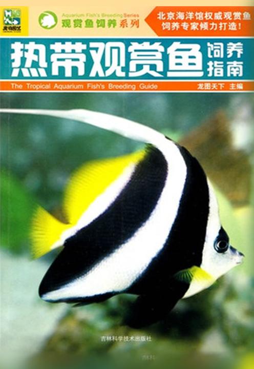 热带观赏鱼饲养指南