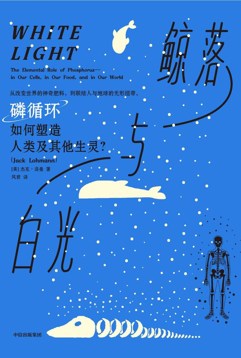 鲸落与白光
