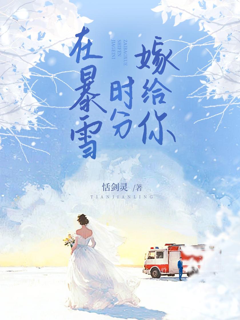 在暴雪时分嫁给你