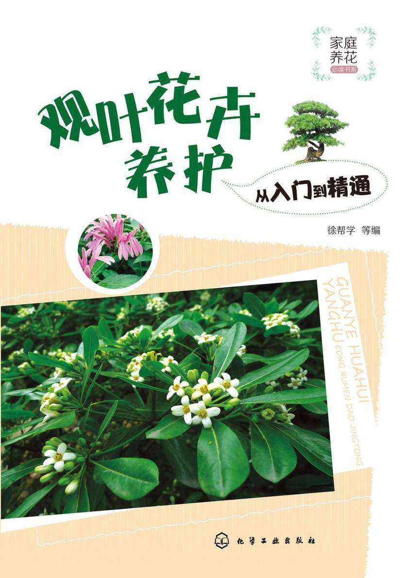 家庭养花*书系--观叶花卉养护从入门到精通