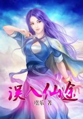 误入仙途10