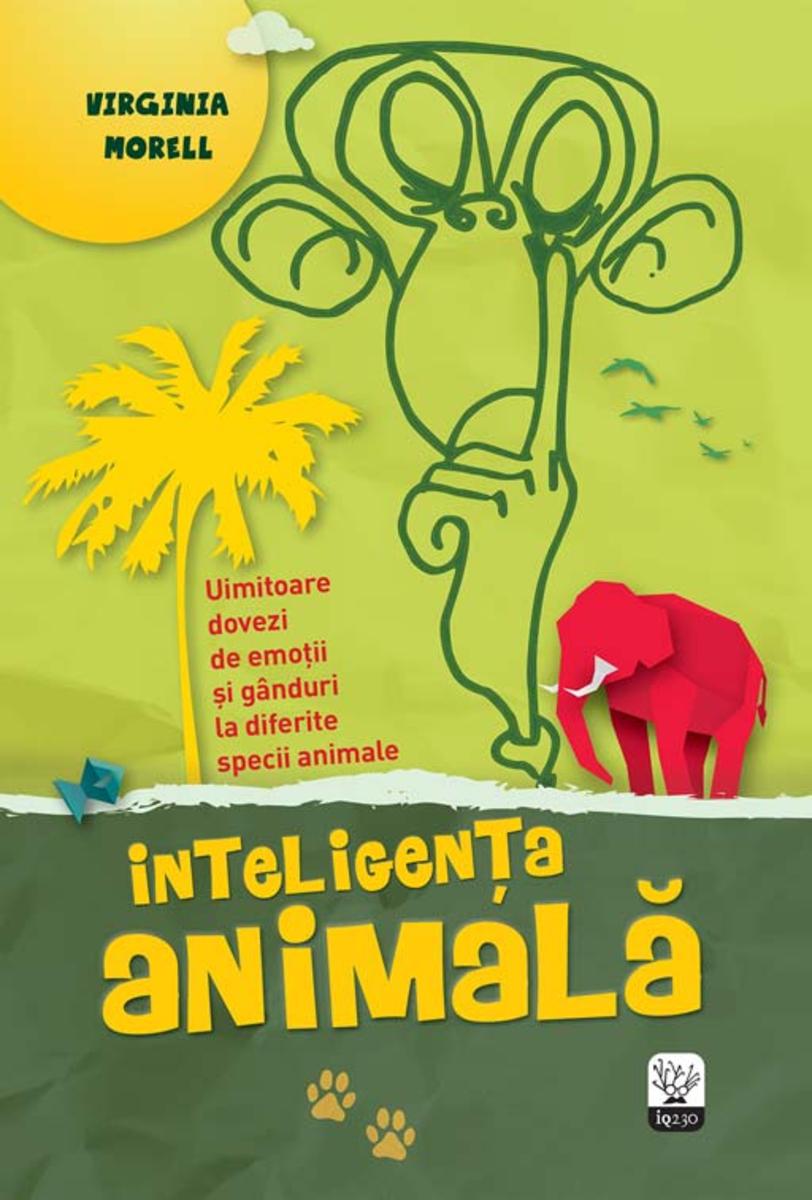 Inteligen?a animal?. Uimitoare dovezi de emo?ii ?i g?nduri la diferite specii an
