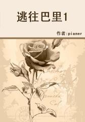 逃往巴里1