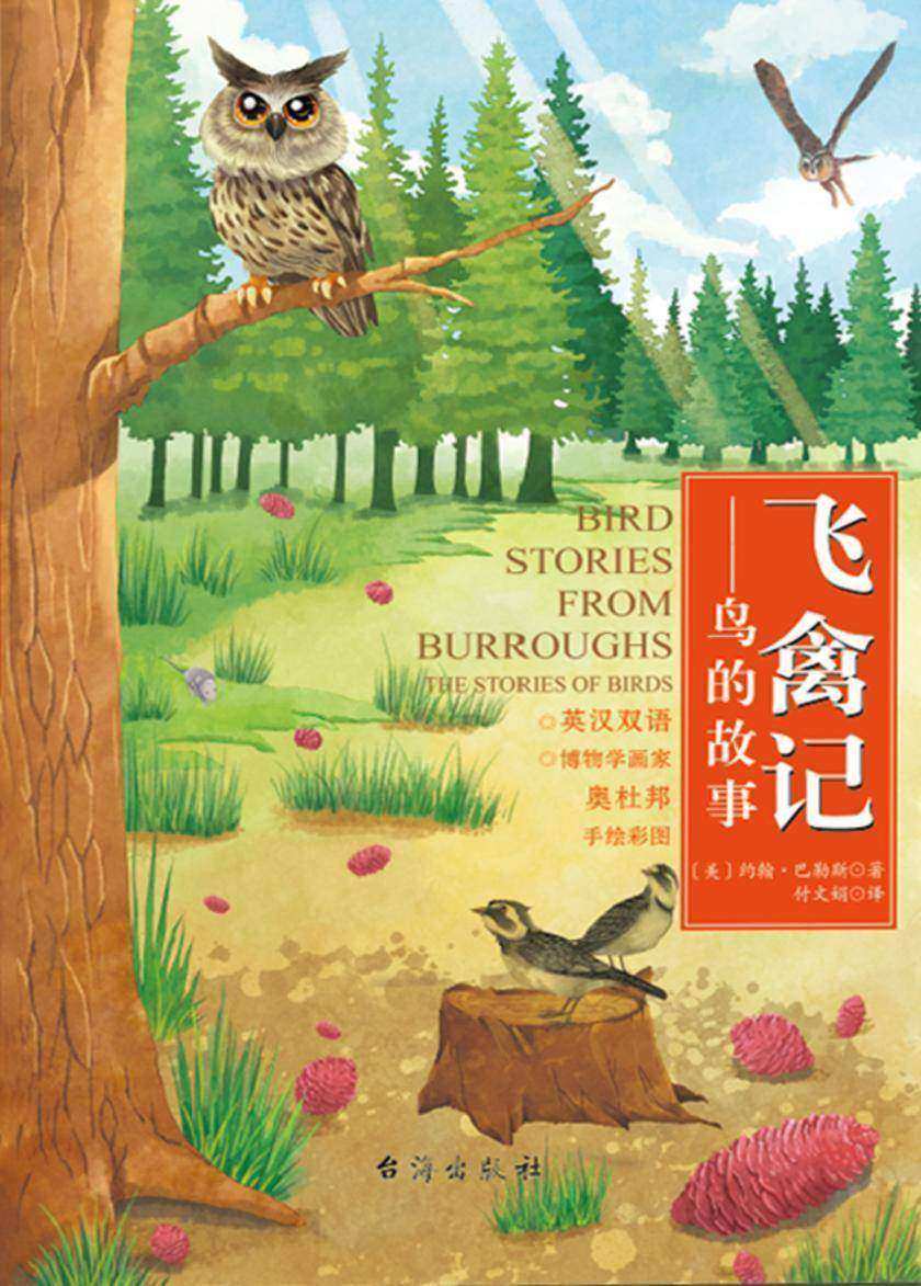 飞禽记-鸟的故事