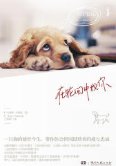 在轮回中找你（电影《一条狗的使命》原著小说）