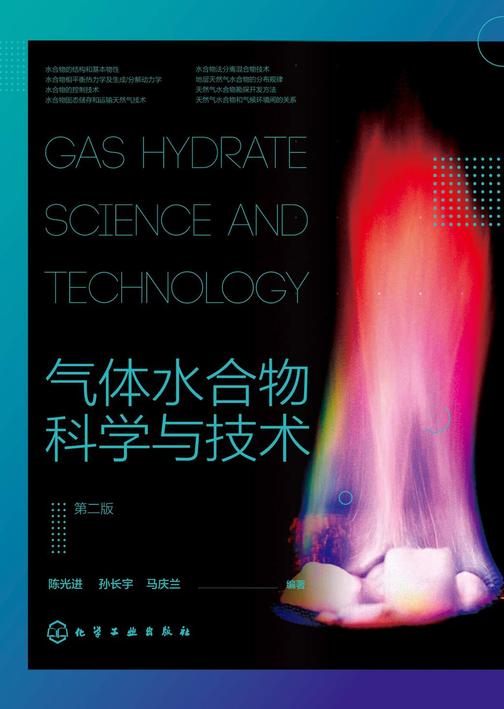 气体水合物科学与技术(第二版)