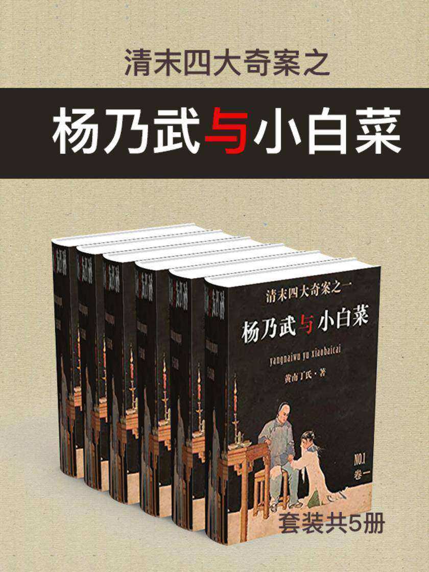 清末四大奇案之杨乃武与小白菜(套装共5册)